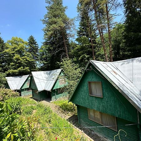 Nunisi Forest Hotel & Spa 외부 사진