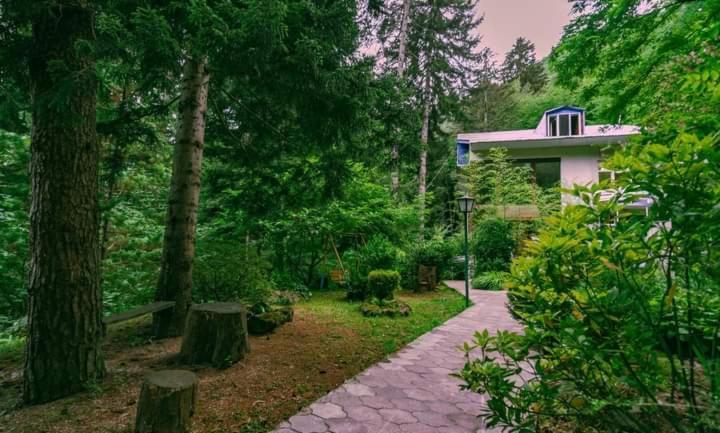 Nunisi Forest Hotel & Spa 외부 사진