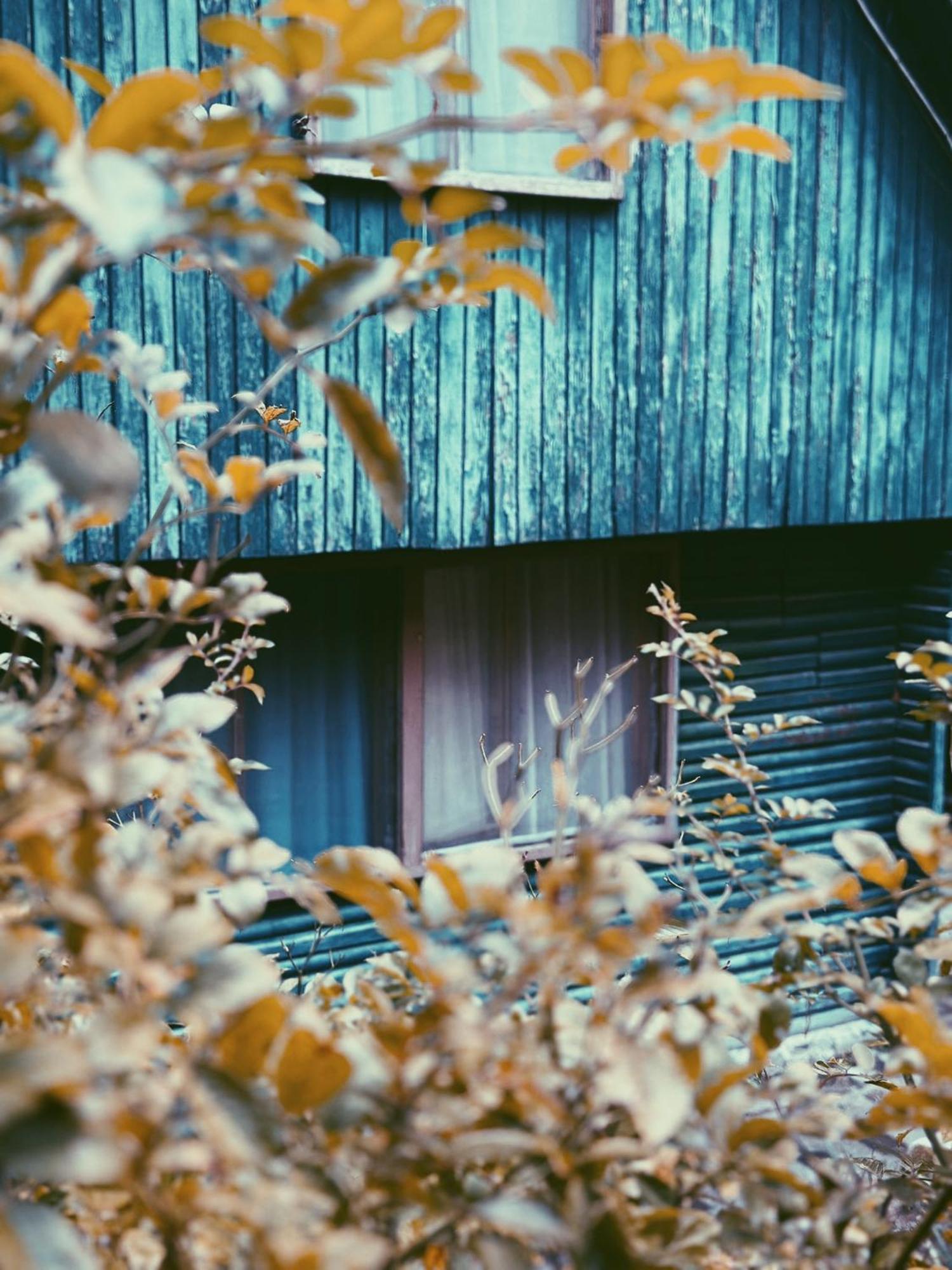 Nunisi Forest Hotel & Spa 외부 사진