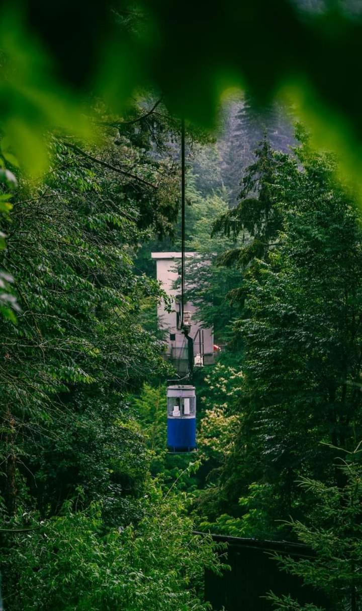 Nunisi Forest Hotel & Spa 외부 사진