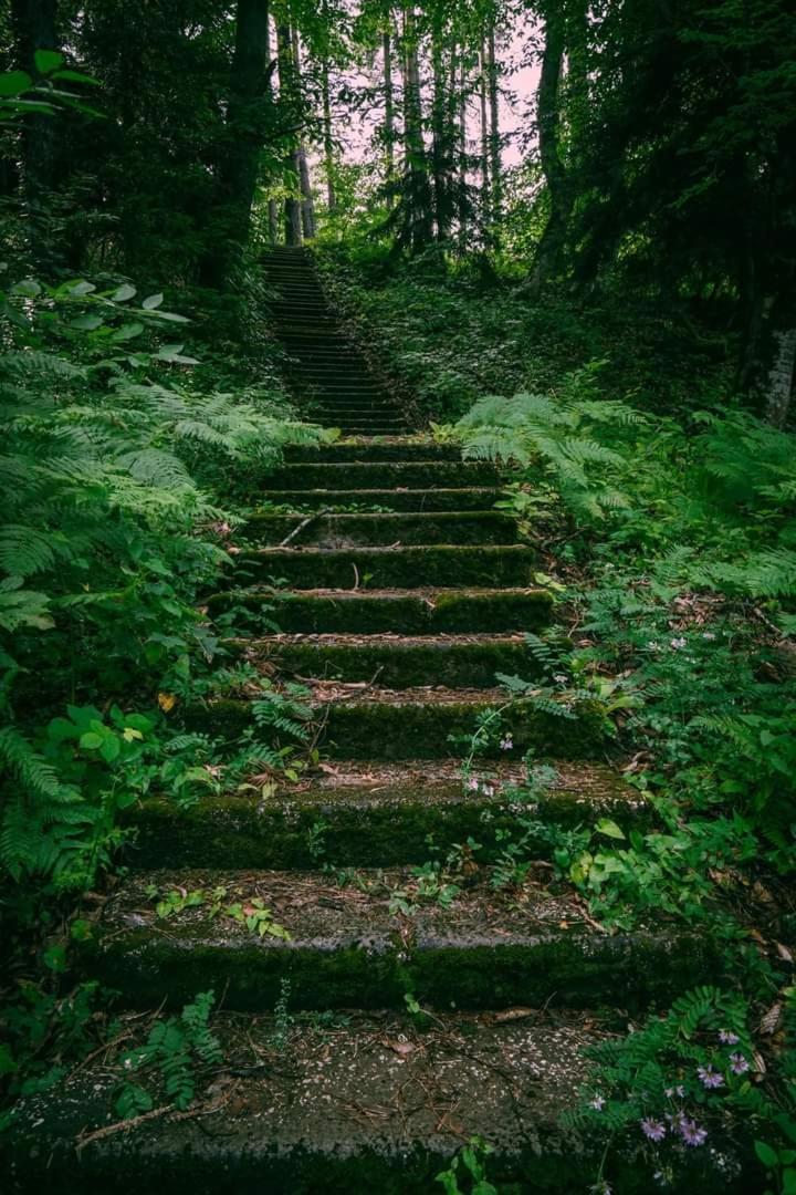 Nunisi Forest Hotel & Spa 외부 사진
