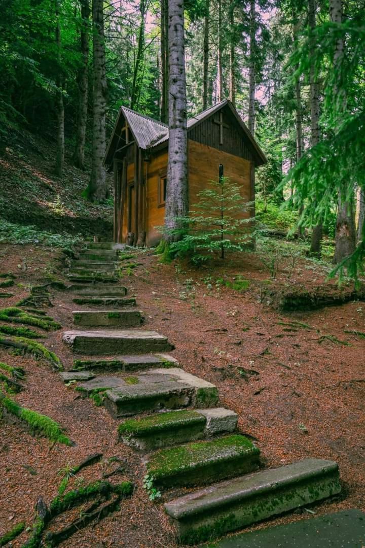 Nunisi Forest Hotel & Spa 외부 사진