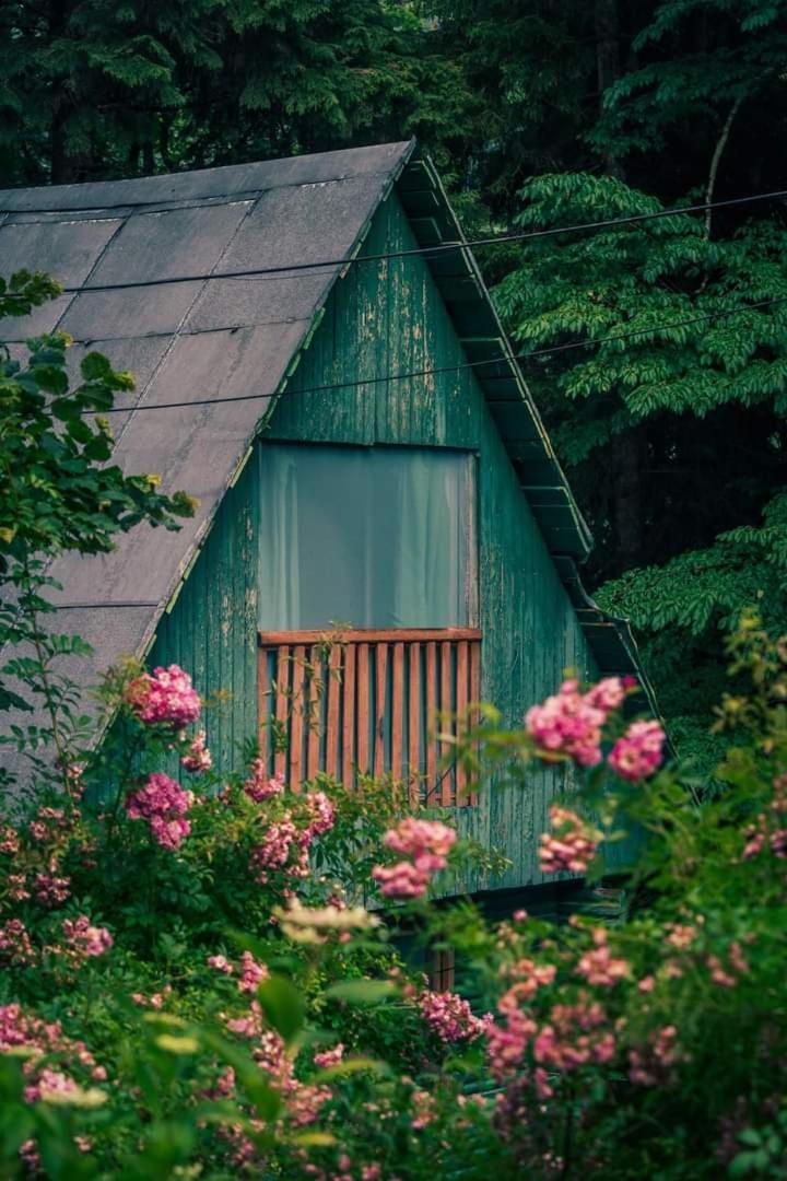 Nunisi Forest Hotel & Spa 외부 사진